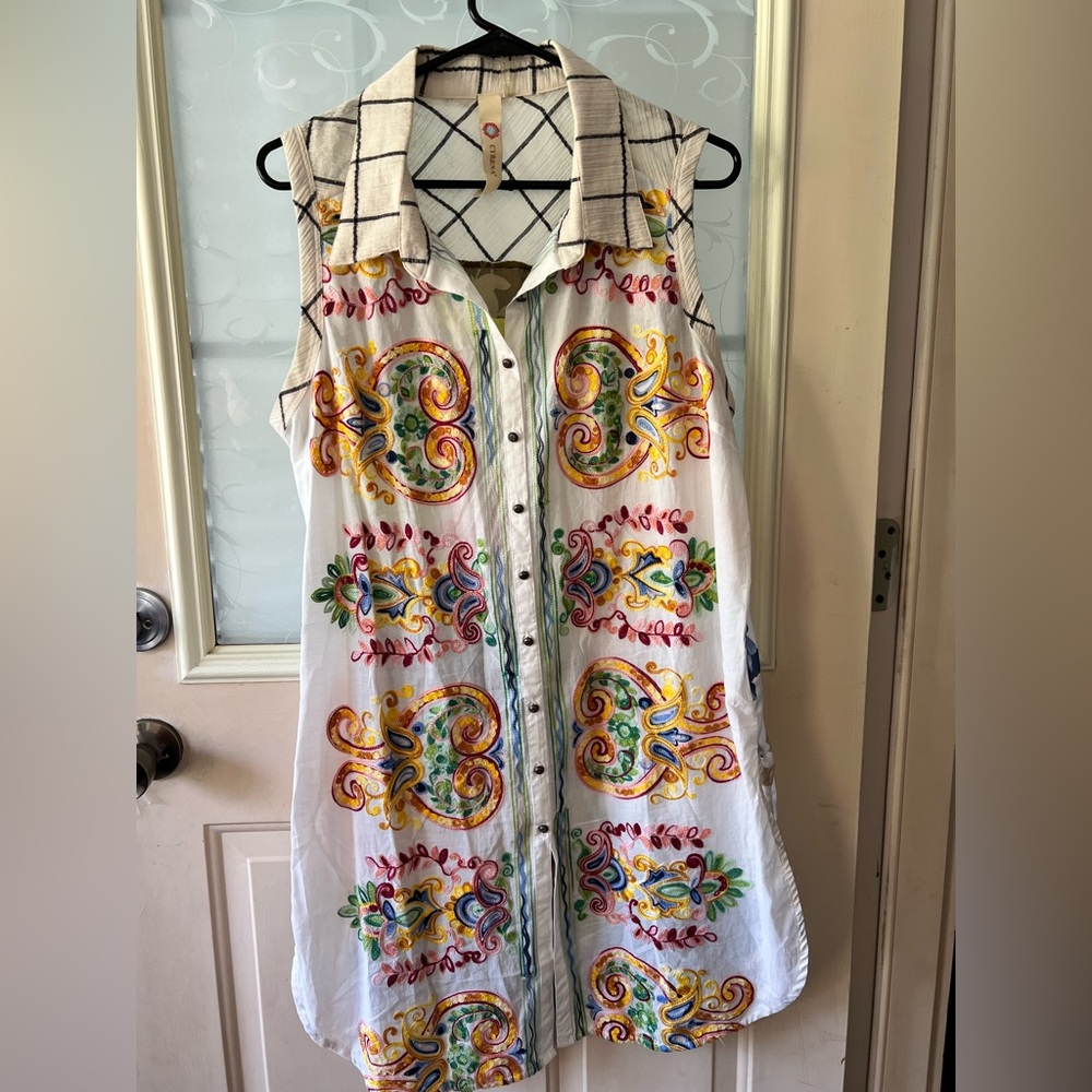 Anthropologie L Cyrena embroidered paisley floral sleeveless button down tunic.
